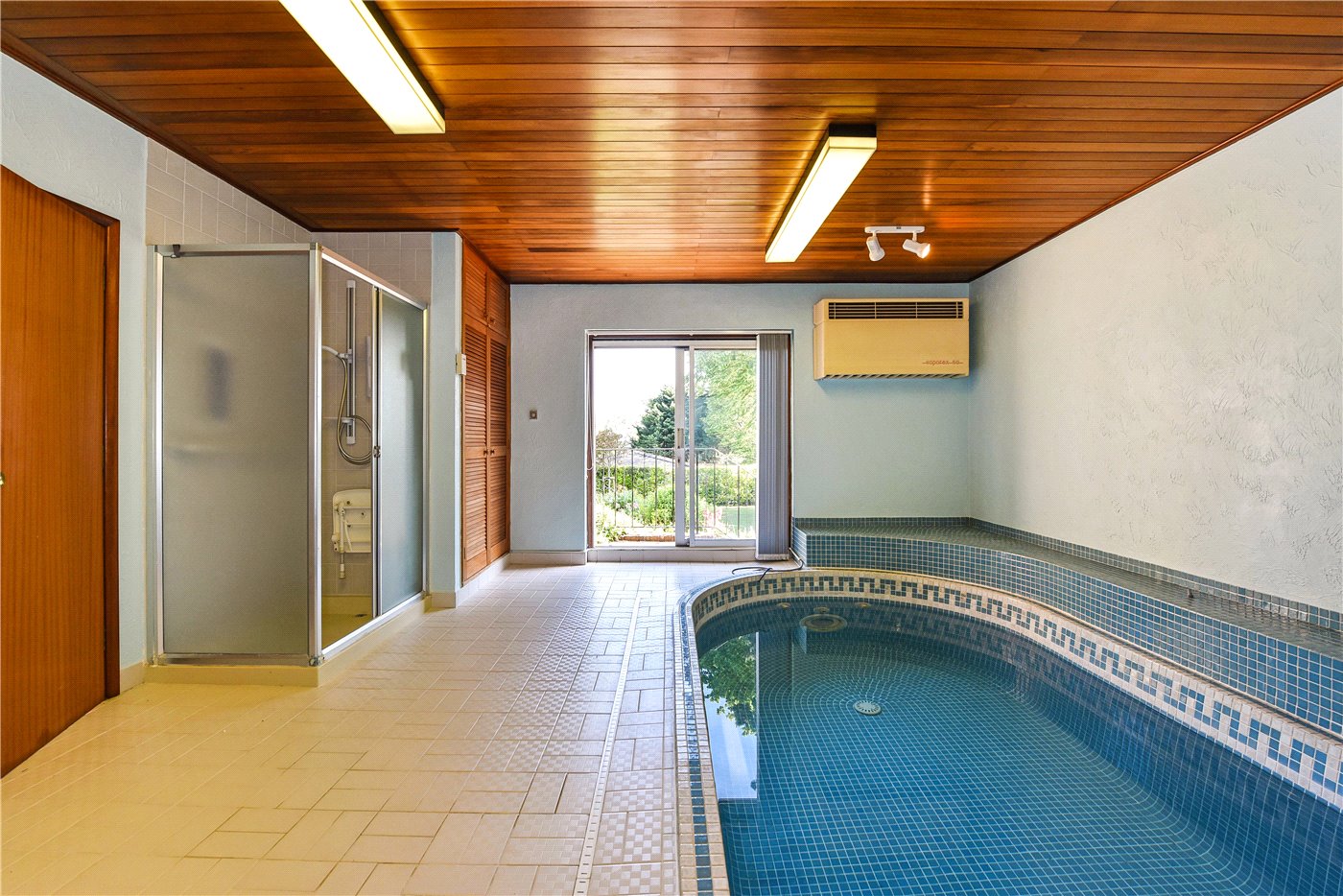 Swim Spa
